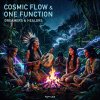 One Function, Cosmic Flow - Dreamers & Healers (2026) [FLAC]