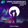 Vinylgroover - Under The Moonlight (Extended Mixes) (2026) [FLAC]