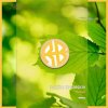 Maxim Kovalskiy - Hazel (2025) [FLAC]