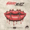 Harry Beatz - Sounds Of Silence (2024) [FLAC]