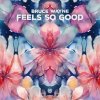 Bruce Wayne - Feels So Good (2025) [FLAC]