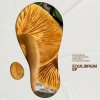 Atlantic Connection - Equilibrium EP (2025) [FLAC]
