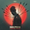 Section - Surrender / Recover (2026) [FLAC]
