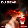 DJ Seak - See The Dark (2022) [FLAC]