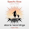 Specific Slice - Laetus Mater (2020) [FLAC]