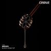 Msdos - Black Honey EP (2026) [FLAC]