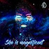 Mr. Ivex & Captain Core - She Is Magnificent (2022) [FLAC]