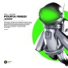 Pourya Feredi - Fall Again (2026) [FLAC]