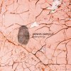 Dennis Caressa - Redemption EP (2024) [FLAC]