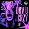Zany - Drv U Crzy (2026) [FLAC]