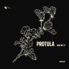 Protula - New Day (2026) [FLAC]