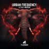 Urban Frequency - Let See Vibration (2024) [FLAC]