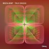 Rezilient - True Origins (2024) [FLAC]