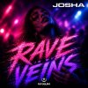 Josha - Rave In My Veins (Extended Mix) (2026) [FLAC]