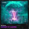 Synapze - Drop It Hard (Original Mix) (2025) [FLAC]