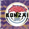 Dream Your Dream - Belgium Rave (1994) [FLAC] download