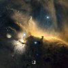 Luca Maniaci - Conscientia (2026) [FLAC]