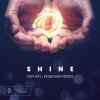 Sophon & Pegboard Nerds - Shine (2022) [FLAC]