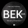 Harvey Mckay - Binary Chamber (2025) [FLAC]