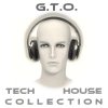 Gto - Tech House Collection (2017) [FLAC]