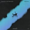 Captain Bass, Toxinate - Freefall (2026) [FLAC]