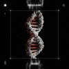 Mefjus, Annix - Genesis (2026) [FLAC]