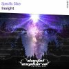Specific Slice - Insight (2020) [FLAC]
