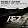 BluSkay & KeyPlayer - Nocturne In C# Minor / Long Way Home EP (2013) [FLAC]