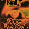 Niall T - Shine Eye Gyal (2023) [FLAC]