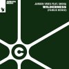 Jurgen Vries, Shena - Wilderness (Farius Remix) (2024) [FLAC]