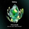 Phloem - On The Line / Back Pocket (2023) [FLAC]