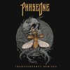 PhaseOne - Transcendency (Remixes) (2020) [FLAC]