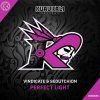 Vindicate & Sedutchion - Perfect Light (Edit) (2021) [FLAC]