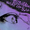 Latesleeper - Bushwa (2021) [FLAC]