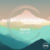 Salaryman - Wake Me Up (2023) [FLAC]