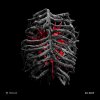 Prolix - So Deep (2026) [FLAC]