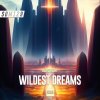 Audiorider - Wildest Dreams (Original Mix) (2023) [FLAC]