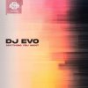Dj Evo - Anything You Want (Edit) (2026) [FLAC]