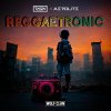Talon & Aerolite - Reggaetronic (Edit) (2022) [FLAC]