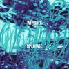 Whychek - Spectate (2022) [FLAC]