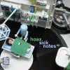 Hoax - Sick Notes (2025) [FLAC]