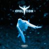 Aerials - Evolution (2020) [FLAC]