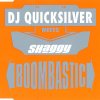 DJ Quicksilver Meets Shaggy - Boombastic (2001) [FLAC]