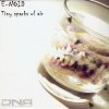 E-Noid - Tiny Sparks Of Air (2009) [FLAC]