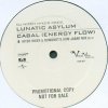 DJ Hitch Hiker Pres. Lunatic Asylum - Cabal (Energy Flow) (2000) [FLAC] download