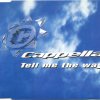 Cappella - Tell Me The Way (RB 8.321) (1995) [FLAC] download