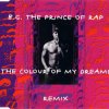 B.G. The Prince Of Rap - The Colour Of My Dreams Remix (1994) [FLAC] download