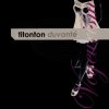 Titonton Duvante - Voyeurism (2002) [FLAC]