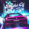 Peygan - Night Of My Life (Edit) (2024) [FLAC]