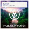 Bluskay - Fire In Your Heart (2025) [FLAC]
